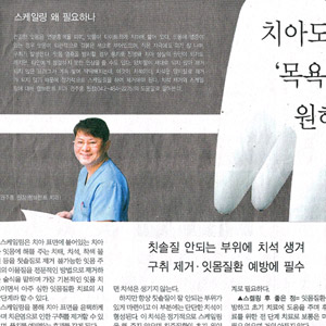 중도일보 기사 [충청명의] 치아도 ‘목욕’을 원해요- 2006년 11월 9일